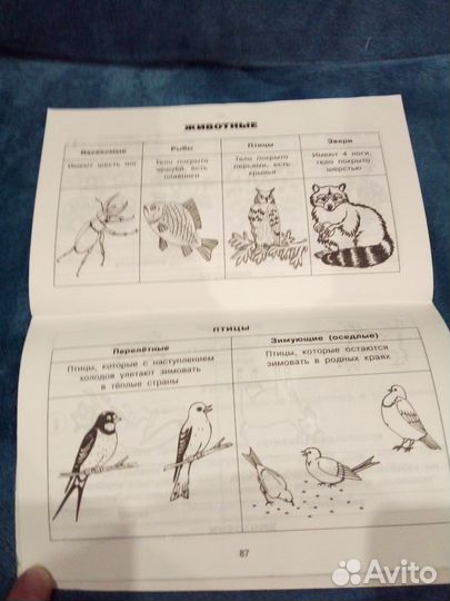 Таблицы 1 и 2 класса