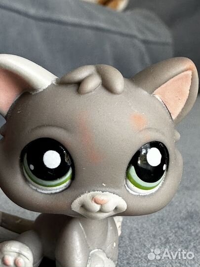 Littlest Pet Shop 1607 Sitting Kitten Cat