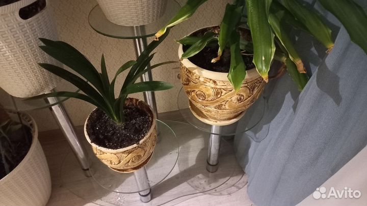 Полка для цветов