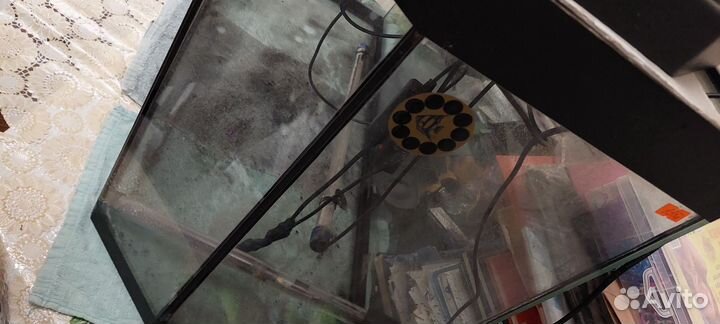 Обзорный аквариум