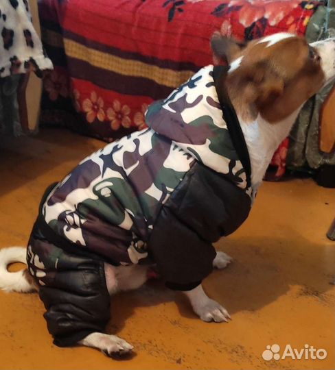 Комбинезон теплый для собак новый