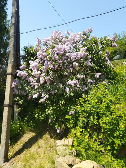 Дача 65 м² на участке 15 сот.