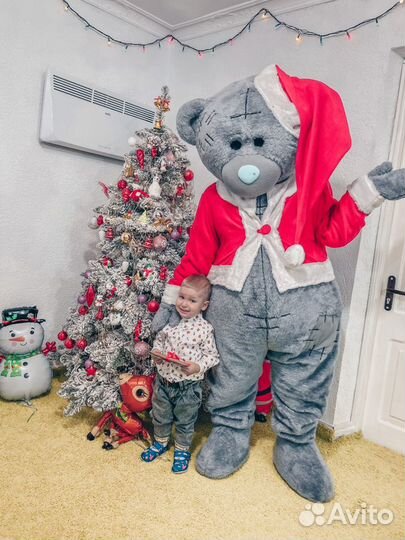 Мишка Тедди