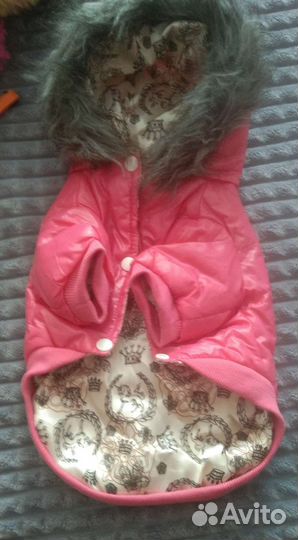 Одежда для животных