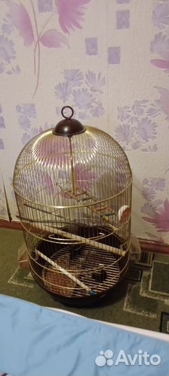 Клетка для попугая