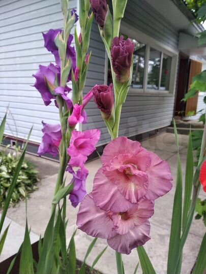 Дом 97 м² на участке 10,4 сот.