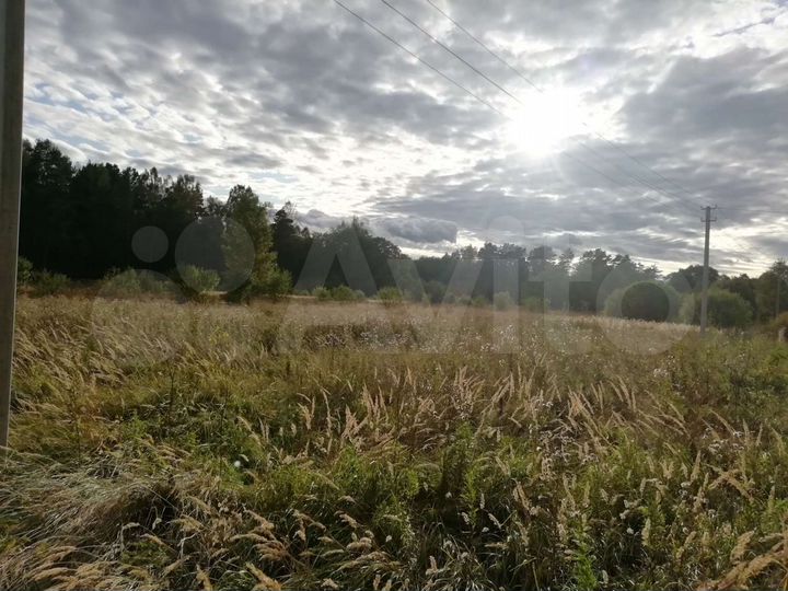 Участок 1,5 га (ИЖС)