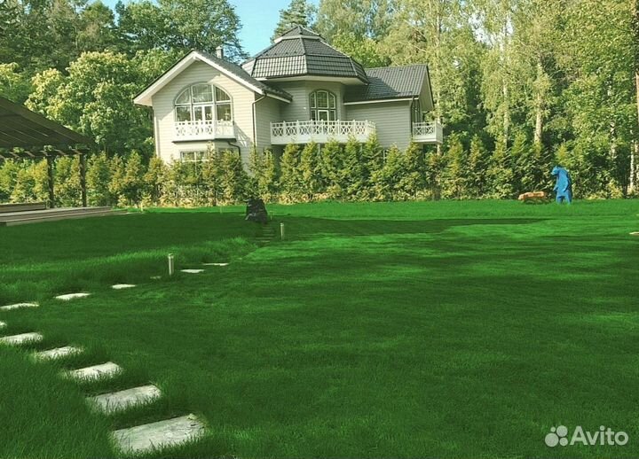 Рулонный газон