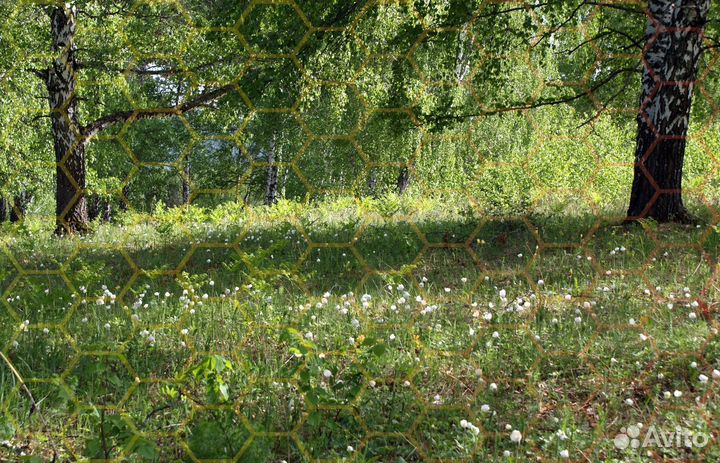 Фотографии. Отрада для глаз)