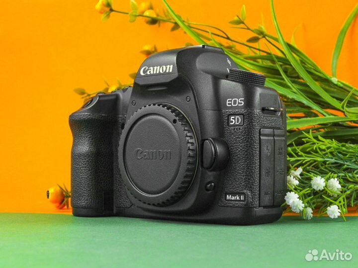 Фотоаппарат Canon 5D Mark II body