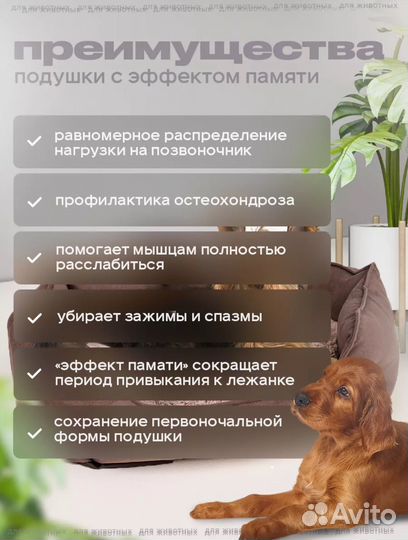 Лежанка для домашних животных