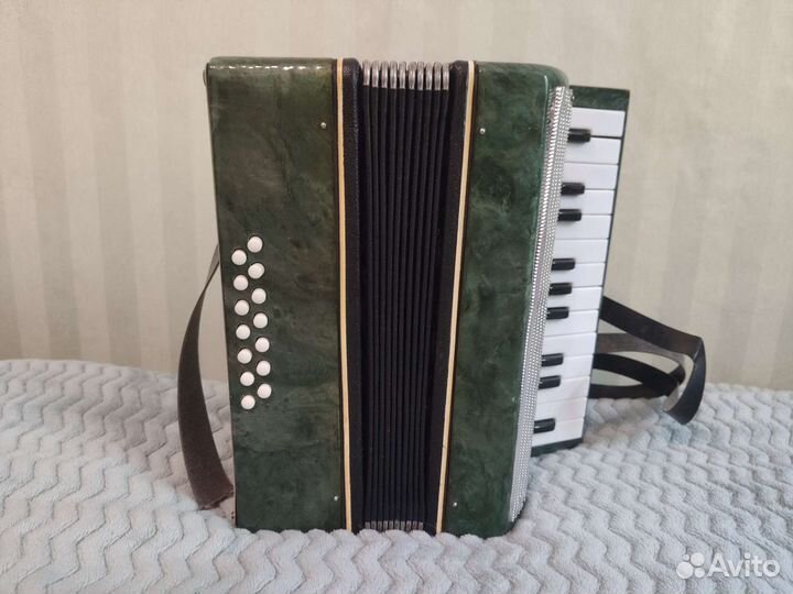 Аккордеон детский