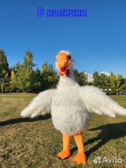 Костюм для поздравлений