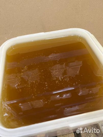 Свежий мёд Разнотравье светлое Качка 2023 опт