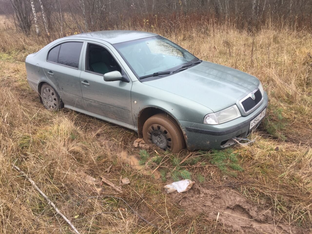 Skoda Octavia: фото владельца