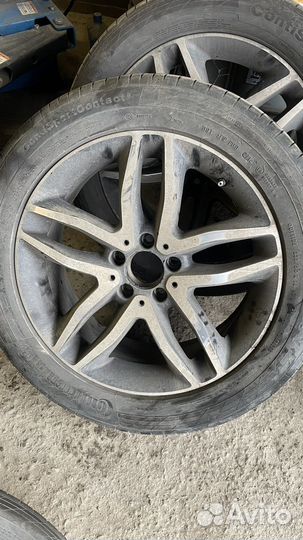 Continental ContiSportContact 1