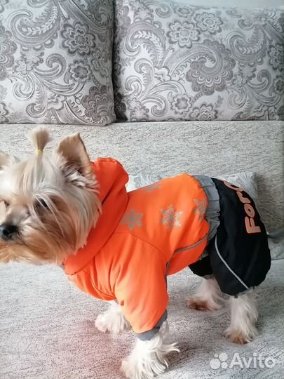 Зимний костюм для собак