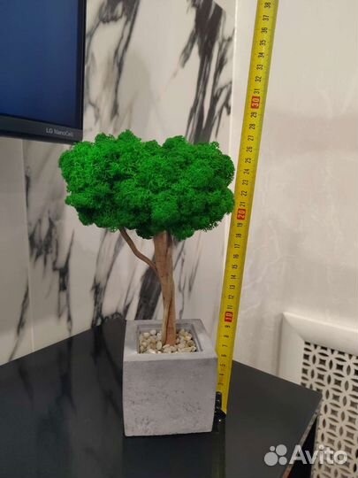 Дерево из стабилизированного мха. Делаю на заказ