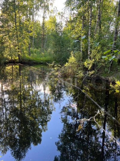 Участок 15 сот. (ИЖС)