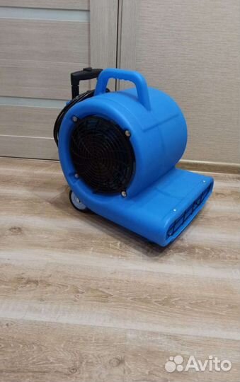 Аренда моющего пылесоса karcher