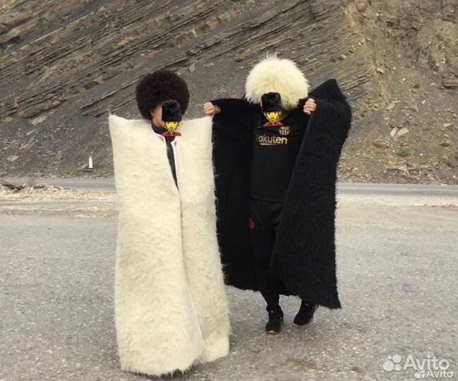 Бурка кавказская