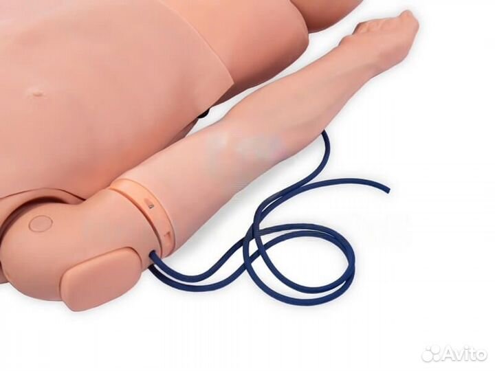 Манекен-симулятор для отработки навыков пунктирова