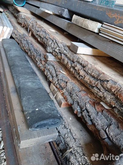 Перерубы дуб