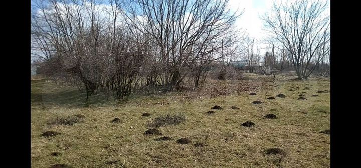 Участок 15 сот. (ИЖС)