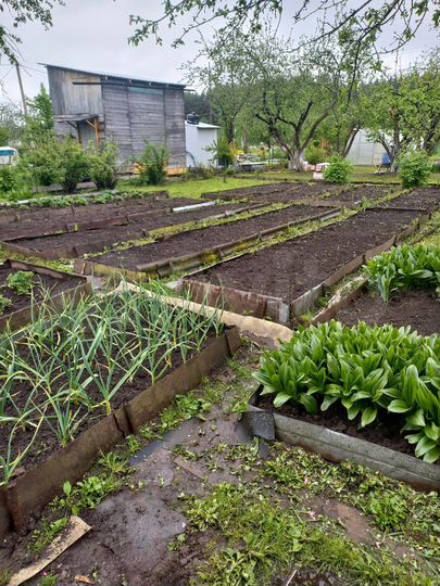 Участок 5 сот. (СНТ, ДНП)