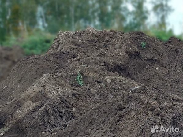 Земля плодородная