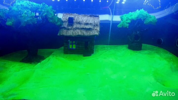 Муравьиная ферма,формикарий