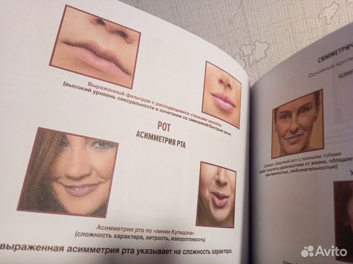 Физиогномика. Владимир Малешин