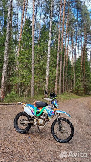 Avantis fx 250 lux