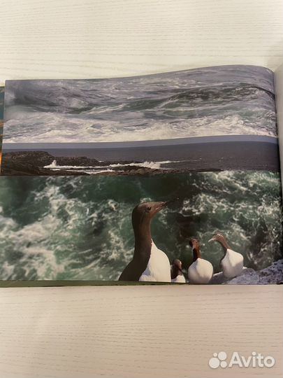 Фотоальбом 