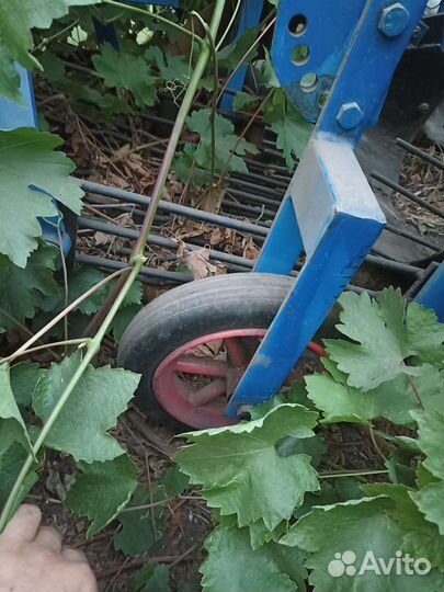 Копатель корнеплодов СКАУТ РН-2, 2022