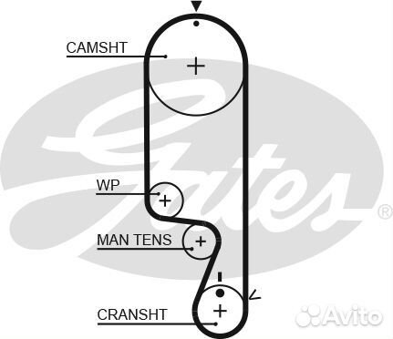 Зубчатый ремень привода грм powergrip
