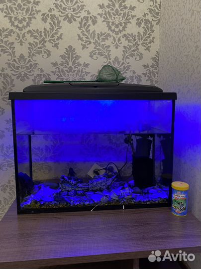 Аквариум с рыбками