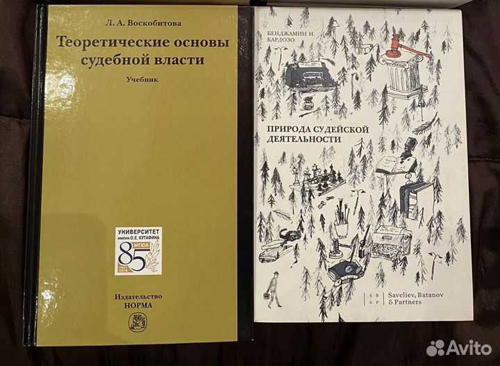 Теоретические основы судебной власти Воскобитова