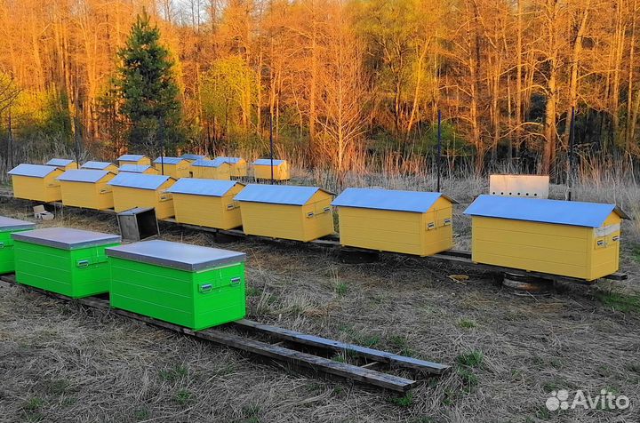 Пасека под ключ на Владимирских ульях лежаках