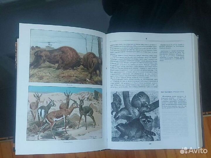 Книга о Жизни животных 