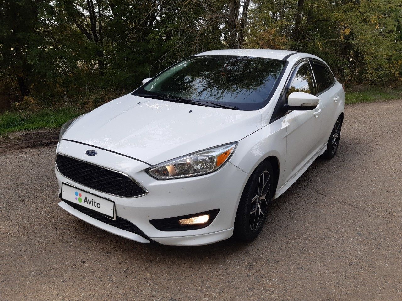 Ford Focus: фото владельца