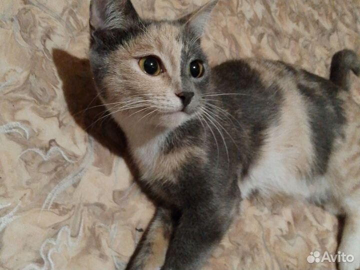 Мама,дочь и сын