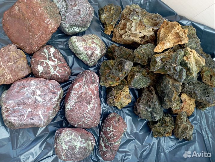 Аквариум BIOdesing altum 450,300