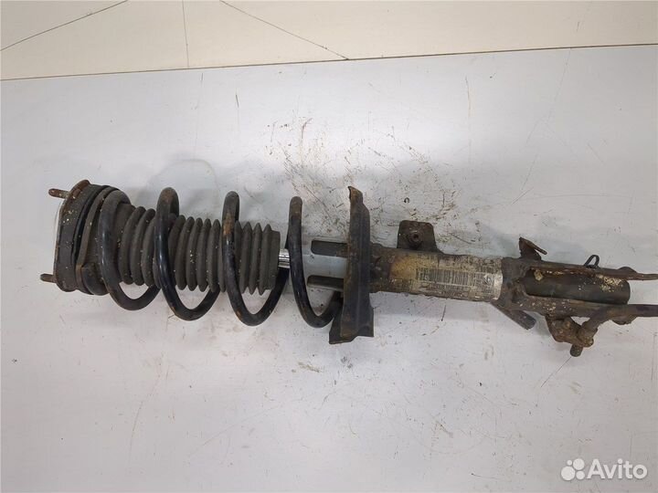 Амортизатор подвески Ford Fiesta, 2010