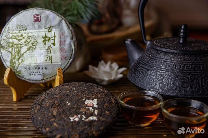 Китайский чай от зимней спячки