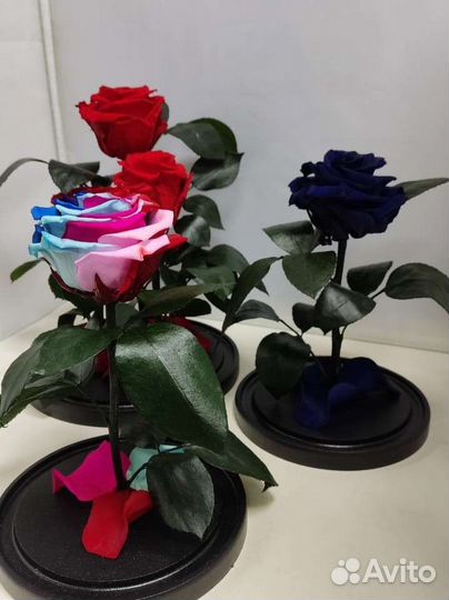 Роза в колбе оптом