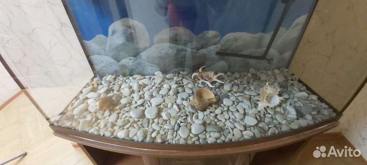 Аквариум панорамный с тумбой, фильтром, насосом в