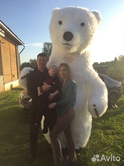 Белый мишка поздравление