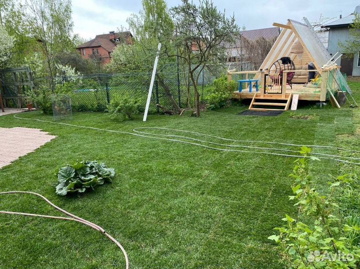 Рулонный газон 