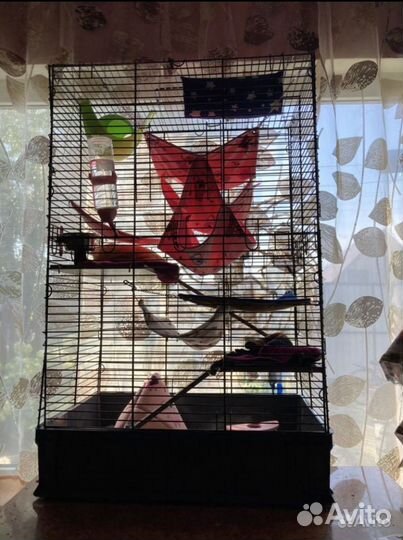 Большая клетка для крыс